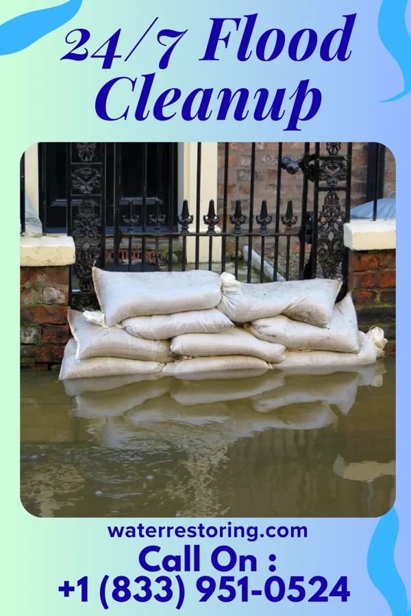 24/7 Flood Cleanup in Manteo, NC