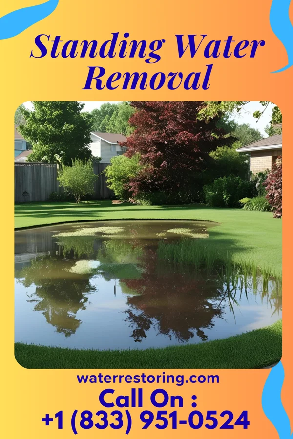 Standing Water Removal in Manteo, NC